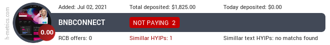 HYIPLogs.com widget for bnbconnect.io