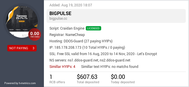 HYIPLogs.com widget for bigpulse.cc