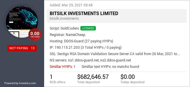 bitsilk.investments