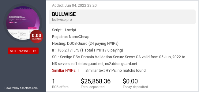 HYIPLogs.com widget for bullwise.pro