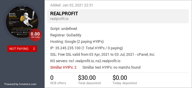 HYIPLogs.com widget for realprofit.io